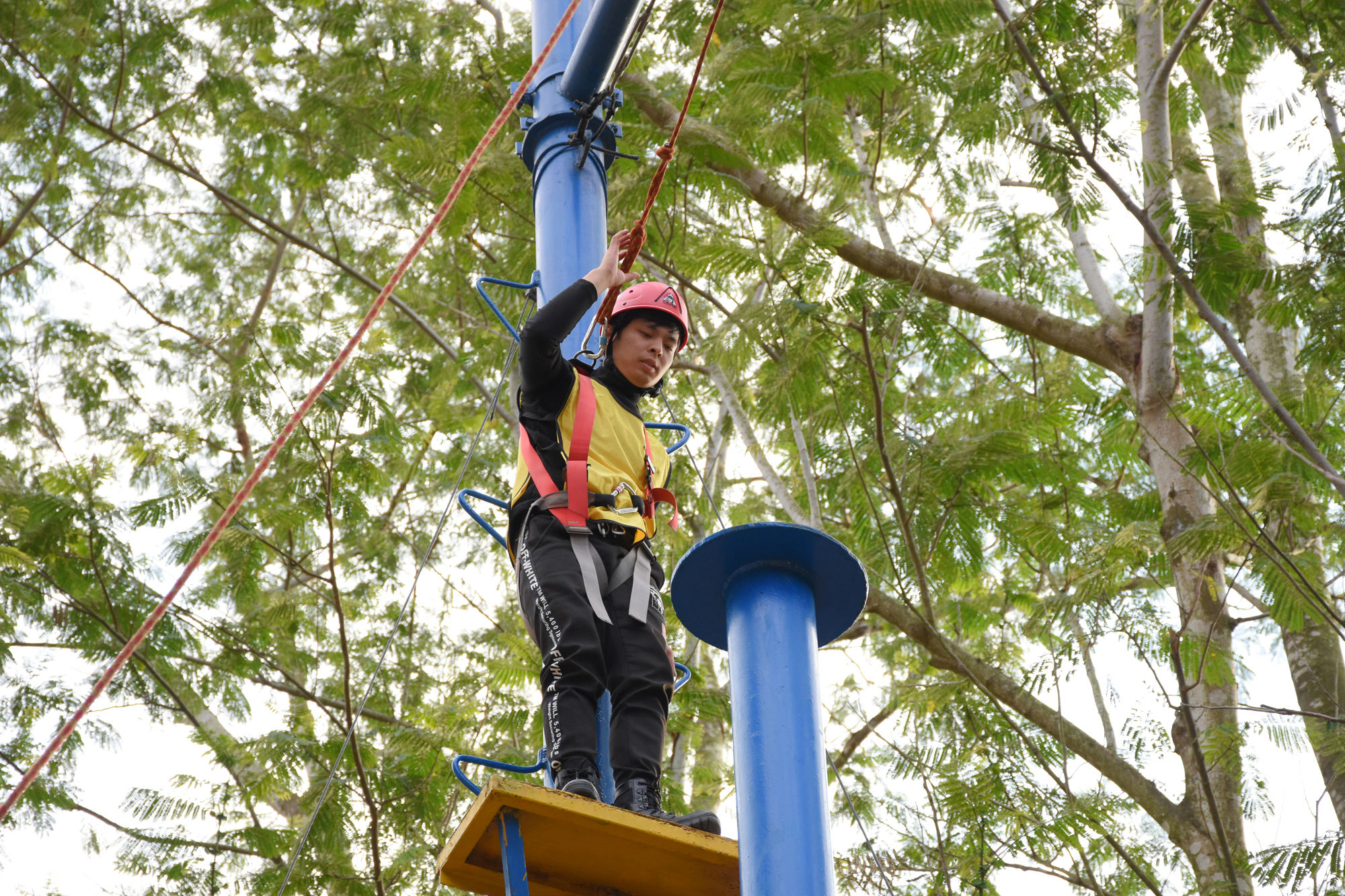 DSC_0230 - 副本.JPG